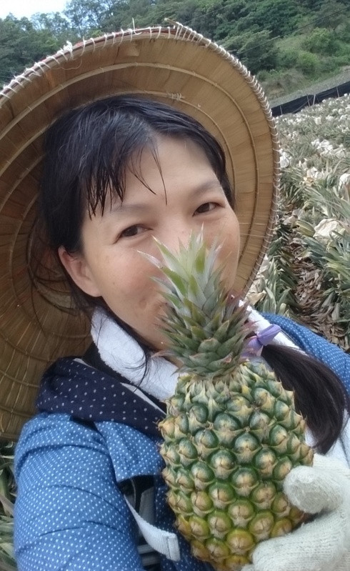 高雄大樹龍目社區 一日農夫採鳳梨初體驗x 鳳梨果醬 鳳梨風味餐 快樂的過每一天