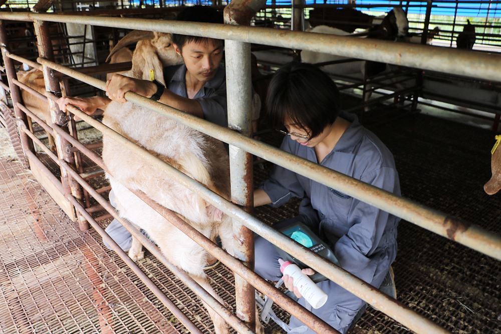 全台第一家肉羊畜牧場產銷履歷 - 快樂的過每一天